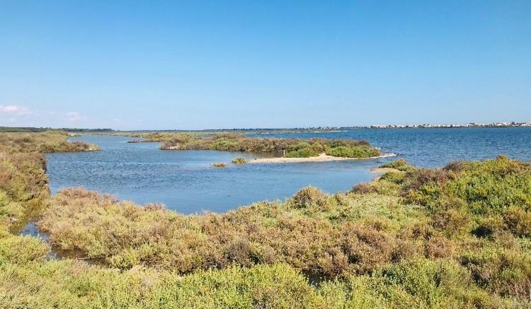 Le Nautica Plage T2 Climatise En Bord De Mer Frontignan Exterior foto