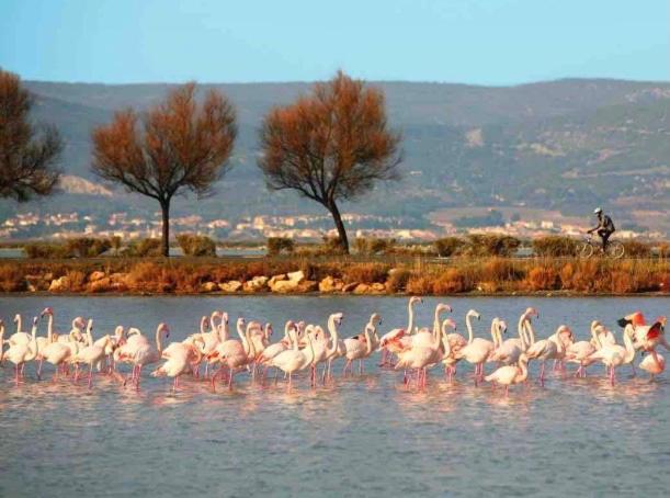 Le Nautica Plage T2 Climatise En Bord De Mer Frontignan Exterior foto